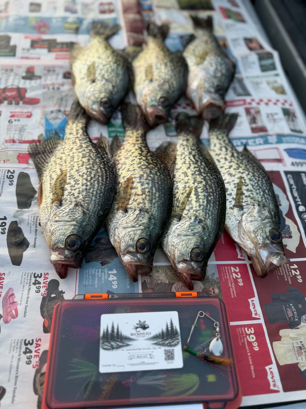 A limit of crappie on newspaper next to a Buckeye Fly Factory jig box
